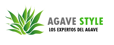 Agave Style