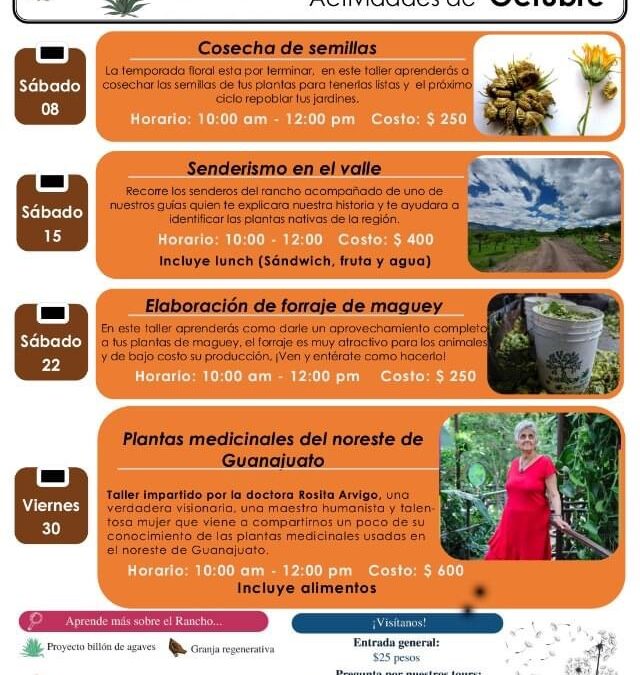 Taller para crear forraje con planta de Maguey Redacción